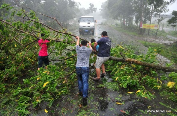 Citizens try to move away a fallen tree on a road as the typhoon Rammasun approaches to Wenchang, south China's Hainan province, July 18, 2014.  (Xinhua/Guo Cheng) 