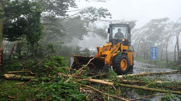 A municipal worker drives a bulldozer to clear broken trees off the road in Wenchang, south China's island of Hainan Province, July 18, 2014.[Photo/Xinhua]