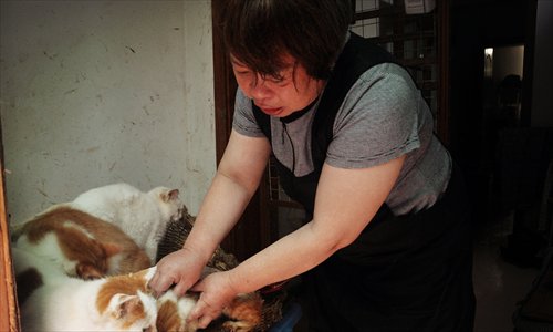 He Yukuan looks after some of her cats. Photo: Huang Lanlan/GT