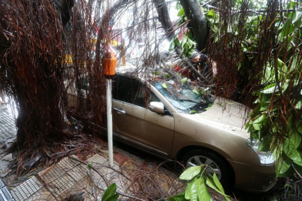 A huge billboard and trees fall on a car parked on the roadside in Fuzhou, Fujian province. Typhoon Matmo, the 10th typhoon to hit China's coast this year, struck Fujian province on Wednesday. Provided By Strait News