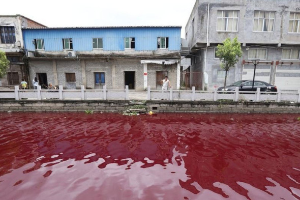 A resident looking at the crimsoned waterway, which had been running normal just a couple of hours before. [Photo: Tencentnews]