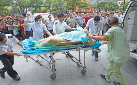 Medical staff with the Kunshan Hospital of Traditional Chinese Medicine transfer an injured patient on Saturday. Gao Erqiang / China Daily