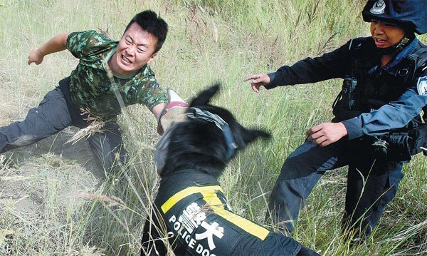 Special police officer Wang Wenjie (left) helps Defu, a 4-year-old police dog, in a prey-and-bite training session on July 8. Photos by Chen Feng / For China Daily