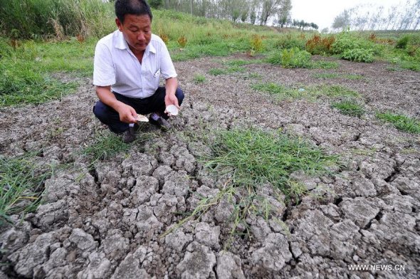 Photo taken on Aug. 5, 2014 shows a dried-up pond at Qingliang Village of Taiping Town, Zaoyang City, Hubei Province. The northern and central parts of Hubei Province have suffered a lingering drought, as high temperature sustained in most areas in Hubei. (Xinhua/Hao Tongqian)