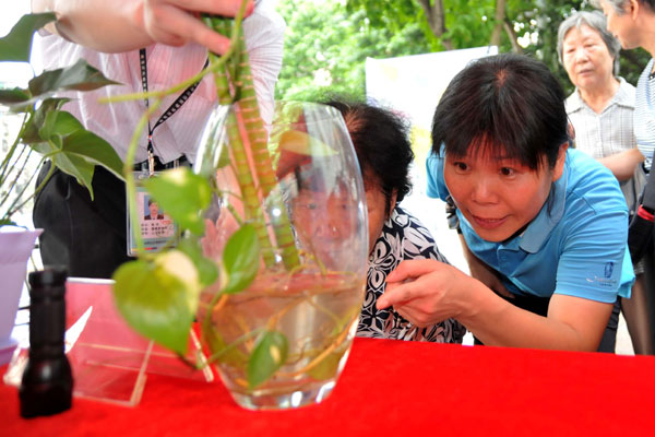 Residents participate in an activity to raise awareness of dengue fever prevention at a community in Guangzhou on Sunday. Tang Mingming / For China Daily