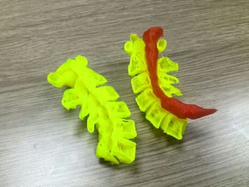 A photo shows a 3D-printed cervical vertebra model. [File Photo: qlwb.com.cn]