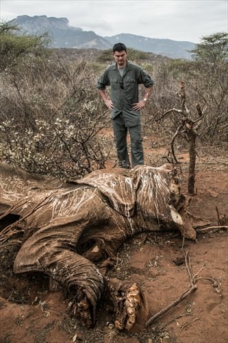 Yao Ming examines a butchered elephant. Photos: Courtesy of WildAid
