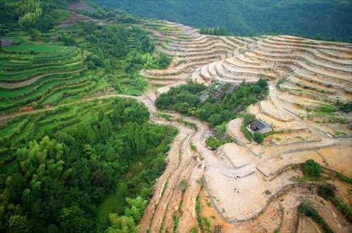A farmer's home stands among the terraced fields claimed from the forests. Photo: Tencent News, Greenpeace