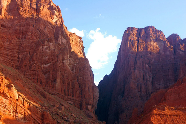 The Euphrates Forest Nature Reserve at Ejina Banner in Alxa League is about a 10-hour drive from Baotou, with the picturesque Aolunbulage Grand Canyon about midway between the two. [Photo provided to chinadaily.com.cn]