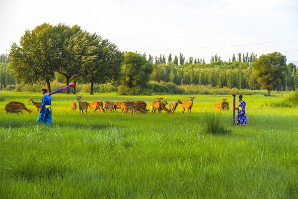 [Photo provided to chinadaily.com.cn]