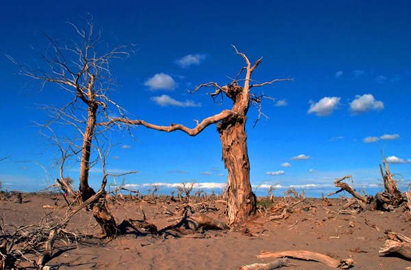 [Photo provided to chinadaily.com.cn]