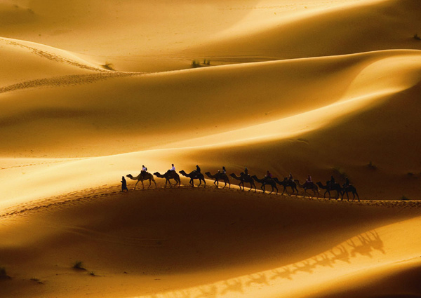 [Photo provided to chinadaily.com.cn]