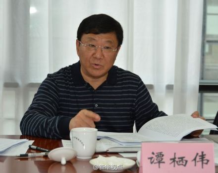Tan Xiwei a former senior legislator in Chongqing Municipality, has been expelled from office and the Communist Party of China (CPC) for allegedly taking bribes. (File photo/Chinanews.com)