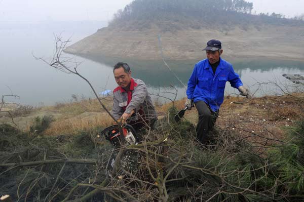 Workers clear trees in August 2013 at the Danjiangkou Reservoir, which also underwent restorations to prepare for the South-to-North Water Diversion Project. HAO TONGQIAN / XINHUA