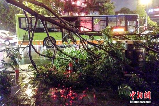 On Tuesday Typhoon Kalmaegi swept through Chinas southern regions of Guangdong, Guangxi and Hainan, packing strong gales and heavy rainfall on its route.