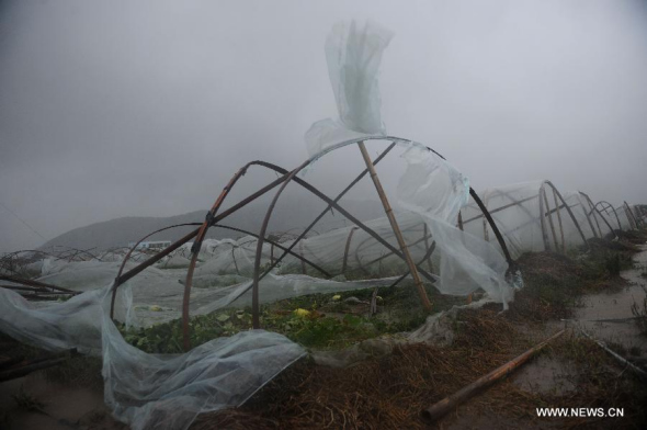 Green house is destroyed by rain storm at Gaotang Township of Xiangshan County, east China's Zhejiang Province, Sept. 22, 2014. The 16th typhoon (tropical storm level) this year made the 4th landfall in Hepu Township of Xiangshan County in Zhejiang Province at 7:35 pm on Monday. (Xinhua/Han Chuanhao) 