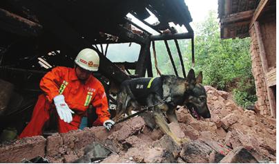 A rescue worker and tracker dog seek survivors among debris in Jinggu county, Yunnan province, on Wednesday. A magnitude-6.6 earthquake hit the county on Tuesday night, killing at least one person and leaving hundreds injured. WANG YUHENG/CHINA DAILY