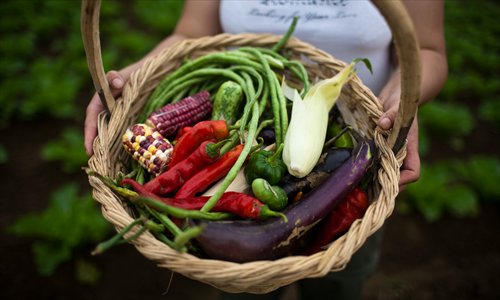 Assorted vegetables from Little Donkey Farm. Photo: Li Hao/GT