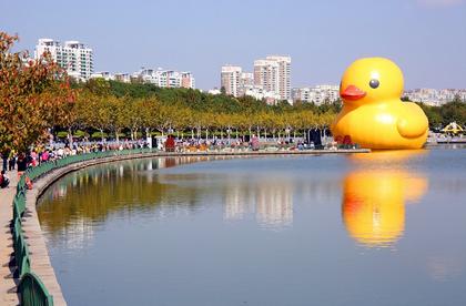 The giant yellow Rubber Duck artwork designed by Dutch artist Florentijn Hofman on display at Jingtian Lake at Century Park yesterday.  Zhang Suoqing