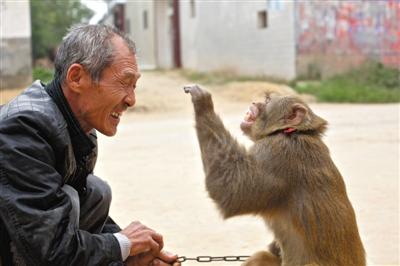 A monkey trainer in Xinye county, central China's Henan province, plays with his monkey. (File photo/ Chinanews.com)