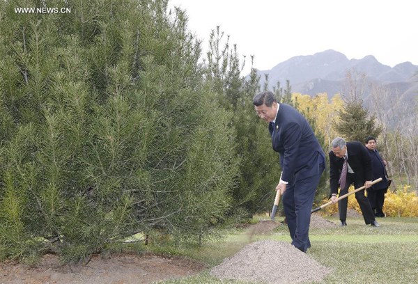 Chinese President Xi Jinping (front) plants trees with other leaders and representatives from the Asia-Pacific Economic Cooperation (APEC) to mark friendship in the APEC family in Beijing, capital of China, Nov. 11, 2014. (Xinhua/Ju Peng)