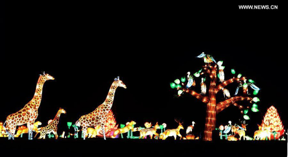 A dragon-shaped lantern is seen at the illumination ceremony for the Chinese Festival of Light in Longleat of Wiltshire, southwest England, on Nov 12, 2014. More than 100 workers from Zigong City of southwest China's Sichuan province have made 7,000 lanterns, which will be displayed at the Chinese Festival of Light lasting from Nov 14 to next January. (Xinhua/Han Yan) 