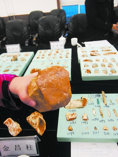 [Photo/Guangming Daily]