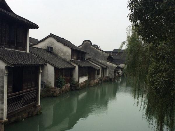Wuzhen, a picturesque riverine town south of the Yangtze River. (People's Daily Online/ Gao Yinan)