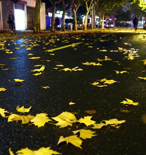 Yuqing Road is a good place for visitors to enjoy autumn in Shanghai. Photo: Yang Hui/GT