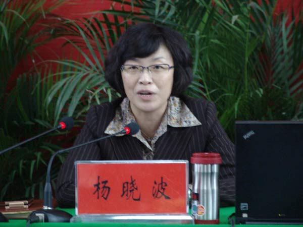Yang Xiaobo, former mayor of Gaoping, Shanxi province.[Photo/Baidu.com]
