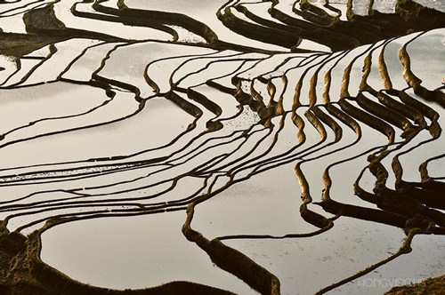 Hani Terraces have been named by the BBC as one of the 5 Wonders of the World, alongside the India Highland Fortress, Namibia sand sea, active volcanoes in Italy and Mount Fuji in Japan.