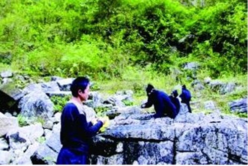 Xiao Zhijian feeds the monkey family. [Photo/Guiyang Evening News]