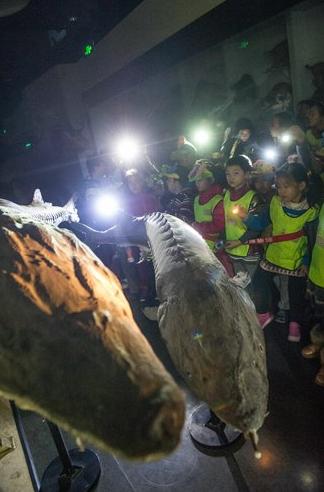 Children armed with flashlights set their sight on a prehistoric fish exhibit at the National Zoological Museum of China on Saturday. Photo: Li Hao/GT