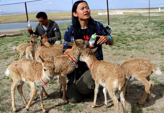 Photo by Zou Hong/China Daily