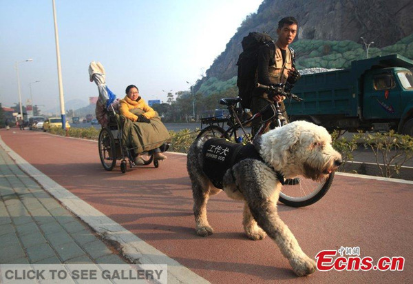 Ding Yizhou, a young man from Liuzhou, Guangxi and his girlfriend sitting in a dog-drawn wheelchair are on their journey to travel around China Jan 3, 2015. To fulfill the dream of his beloved one who can't walk normally due to illness, Ding designed their tour route and employed a working dog to help the girl to travel. Ding said they have been hiking, and camping within Liuzhou for two days in a warm-up for the trip. [Photo/ CFP]