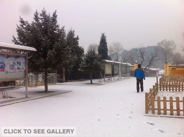 A man walks on a snow-covered road in Changping district in Beijing, capital of China, Jan 14, 2015. Beijing greeted the first snowfall this year on Wednesday morning. [Photo/ weibo.com] 