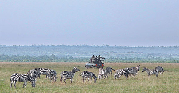 Tourists observe animal migration in the Maasai Mara National Reserve in Kenya, an event that takes place from July to October. [Photo provided to China Daily]