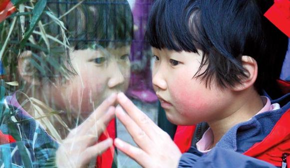 A migrant child looks closely at the pandas from a glass enclosure at Shanghai Zoo. (Photo: Shanghai Daily/Ti Gong)