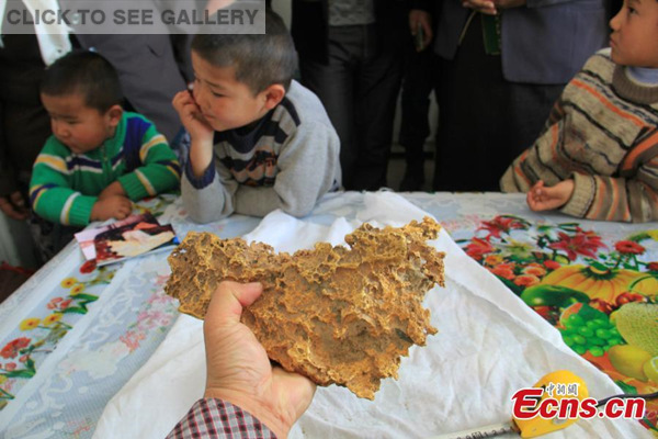A herder shows a gold nugget in his house in Qinghe county, Northwest China's Xinjiang Uygur autonomous region, Feb 5, 2015. The 7.85-kg gold nugget found on Jan 30 is 23 centimeters long, 18 centimeters wide, and 8 centimeters thick. It has attracted many visitors to his house. [Photo: China News Service/ Zhu Xinfeng] 