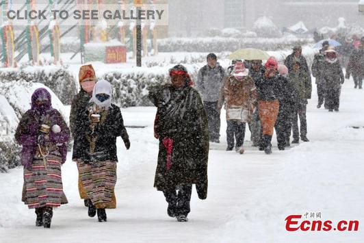 Lhasa, capital of southwest China's Tibet Autonomous Region, had its heaviest snowfall in two decades Friday, seen as a good omen for the upcoming Tibetan year of the "wooden sheep". (Source: Chinanews.com)
