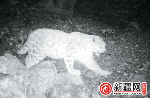 (Photo/xinjiangnet.com.cn)