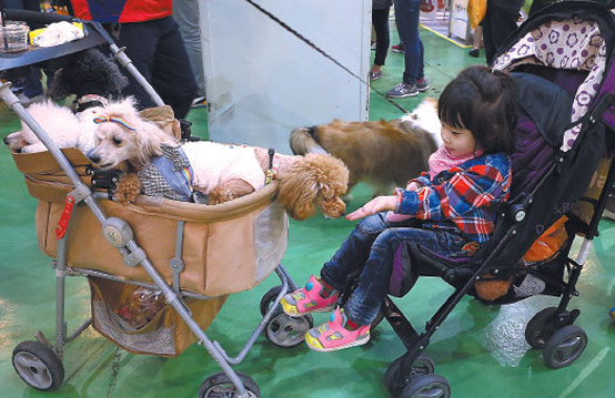 A girl plays with her pets at an international pet products exhibition in Beijing. According to global market research firm Euromonitor International's forecast, China's pet food market is expected to grow to 5.13 billion yuan ($821 million) in 2017 from 3.6 billion yuan in 2014. Photo/provided to China Daily)