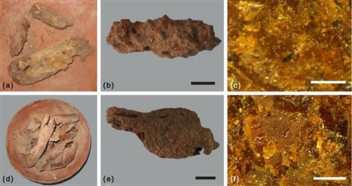 Photos and microscopic images of processed wheaten food remians in pottery wares unearthed from Yanghai Cemetery. (photo/www.cas.cn)