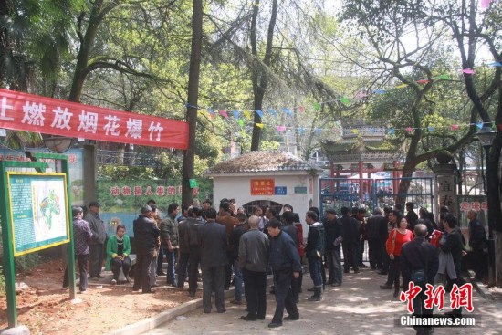 Photo taken on March 27, 2015 shows people outside the zoo in Chuntai Park, Yichun City. (Photo/CFP)