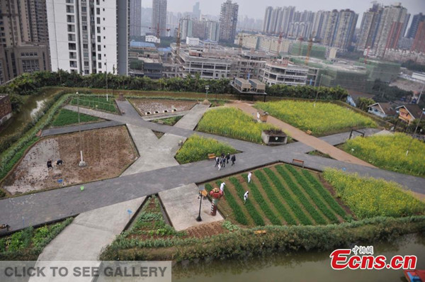 An aerial view of a rooftop farm atop an office building in Southwest China's Chongqing municipality, Feb. 25, 2015. A local company built the farm to help its employees relax their mind and body. Vegetables are also allowed to be taken back home. (Photo: China News Service/Chen Chao)