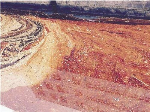 The river looks like an oil painting. (Photo/Qianjiang Evening News)