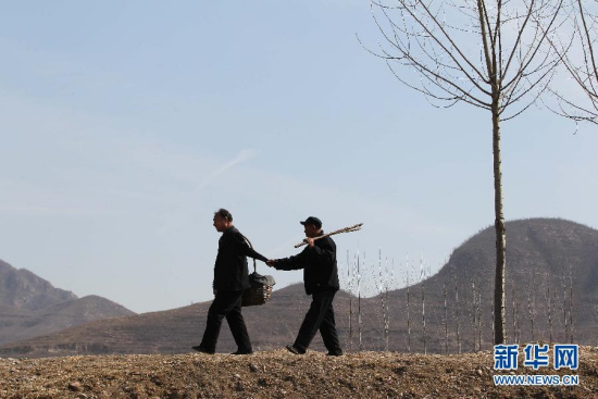 The two respectable men are on their way to work. Jia Wenqi has no arms. Jia Haixia is blind. These two old friends have been working together to plant more than 10,000 trees in 14 years in Hebei province. [Photo/Xinhua]