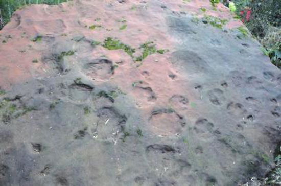 Dromaeosaur footprints found in Gulin county, Sichuan province.[Photo by Xing Lida/China Daily]