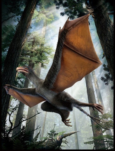Artist's impression of the new dinosaur named Qiyi, which means fantastic wing in English. (Photo provided to chinadaily.com.cn)