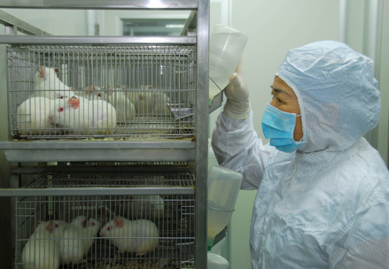 A veterinarian feeds mice at a lab operated by the Guangzhou Entry-Exit Inspection and Quarantine Bureau. (Photo/China Daily)
